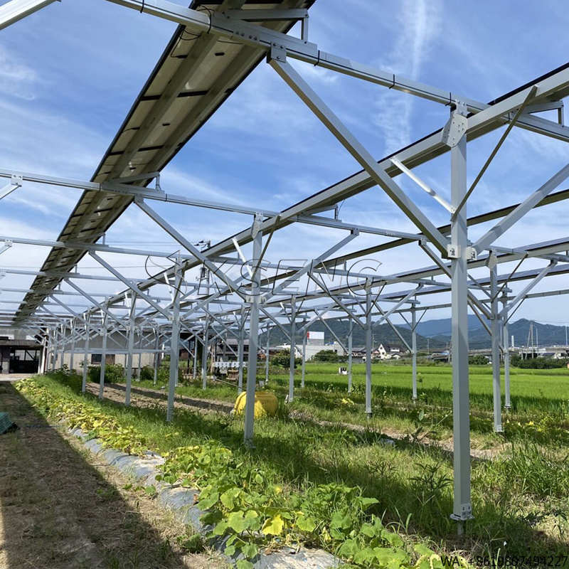 Agriculture Farming Japan - ระบบติดตั้งแผงโซลาร์เซลล์อะลูมิเนียมสำหรับการเกษตรแบบใหม่ของญี่ปุ่น เพื่อผลิตพลังงานและอาหารอย่างยั่งยืน