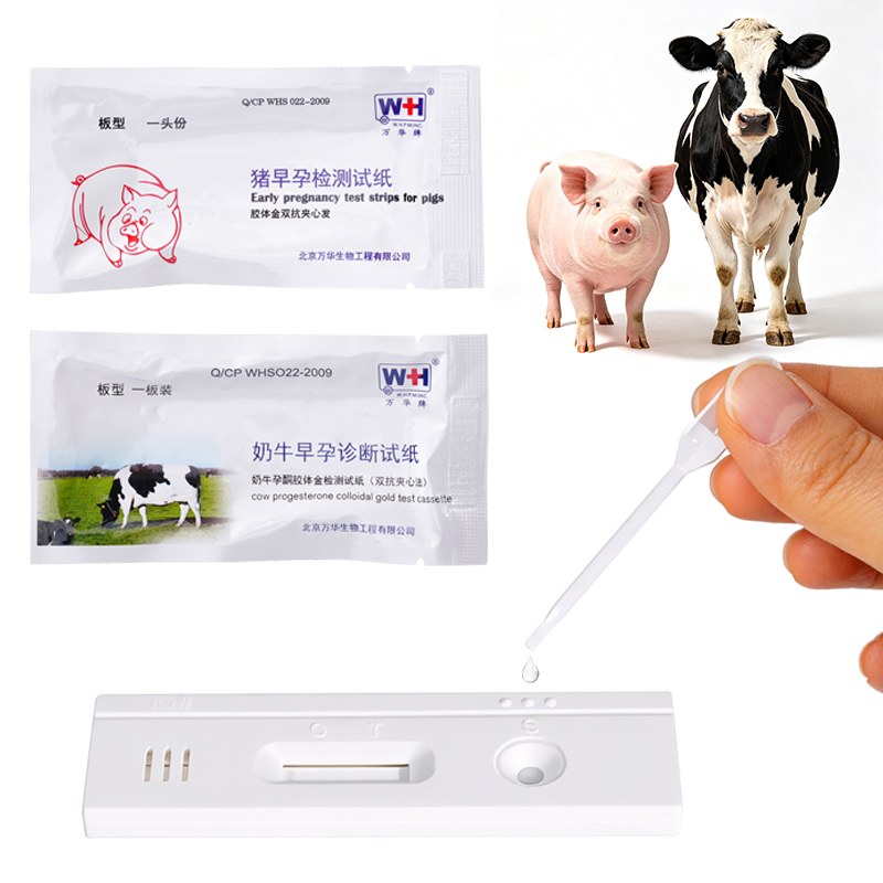 ชุดตรวจการตั้งครรภ์สัตว์ปศุสัต - Veterinary Syringe Gun บทวิจารณ์และราคา
